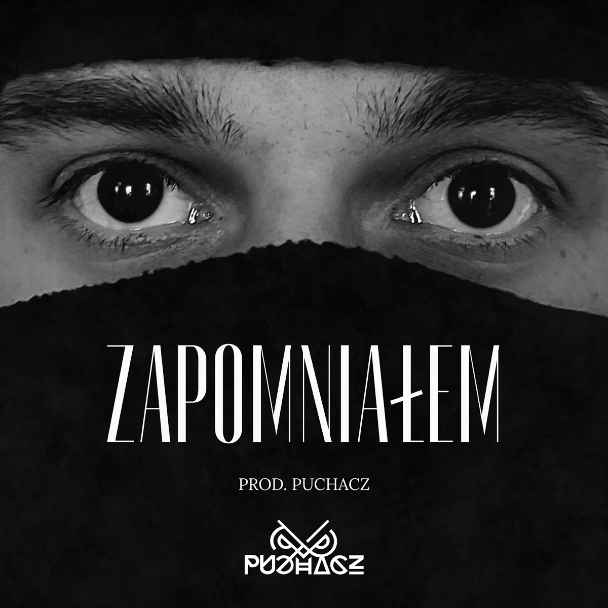Zapomniałem - Single by Puchacz album cover