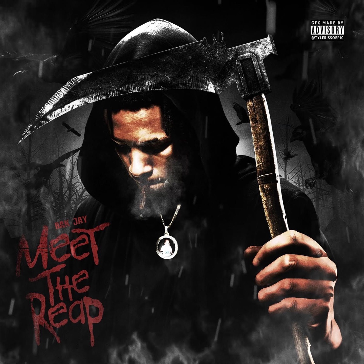 Meet The Reap by BAK Jay album cover