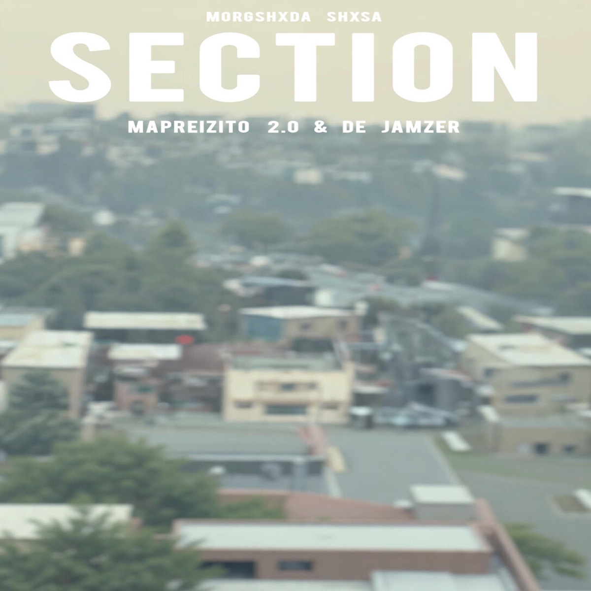 Section (feat. Mapreizito 2.0 & de Jamzer) - Single by Morgshxda shxsa album cover