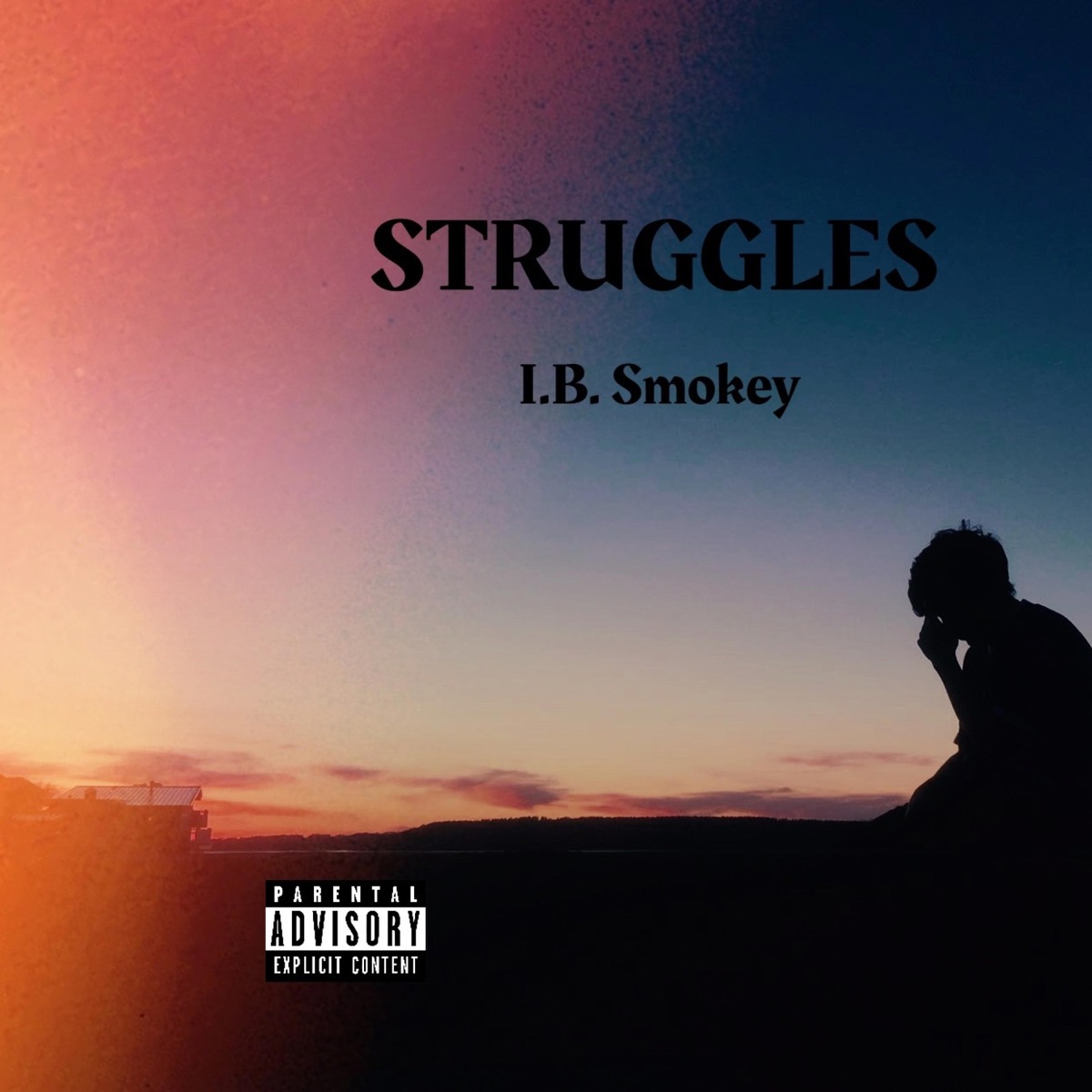 Struggles - Single by I.B. Smokey album cover