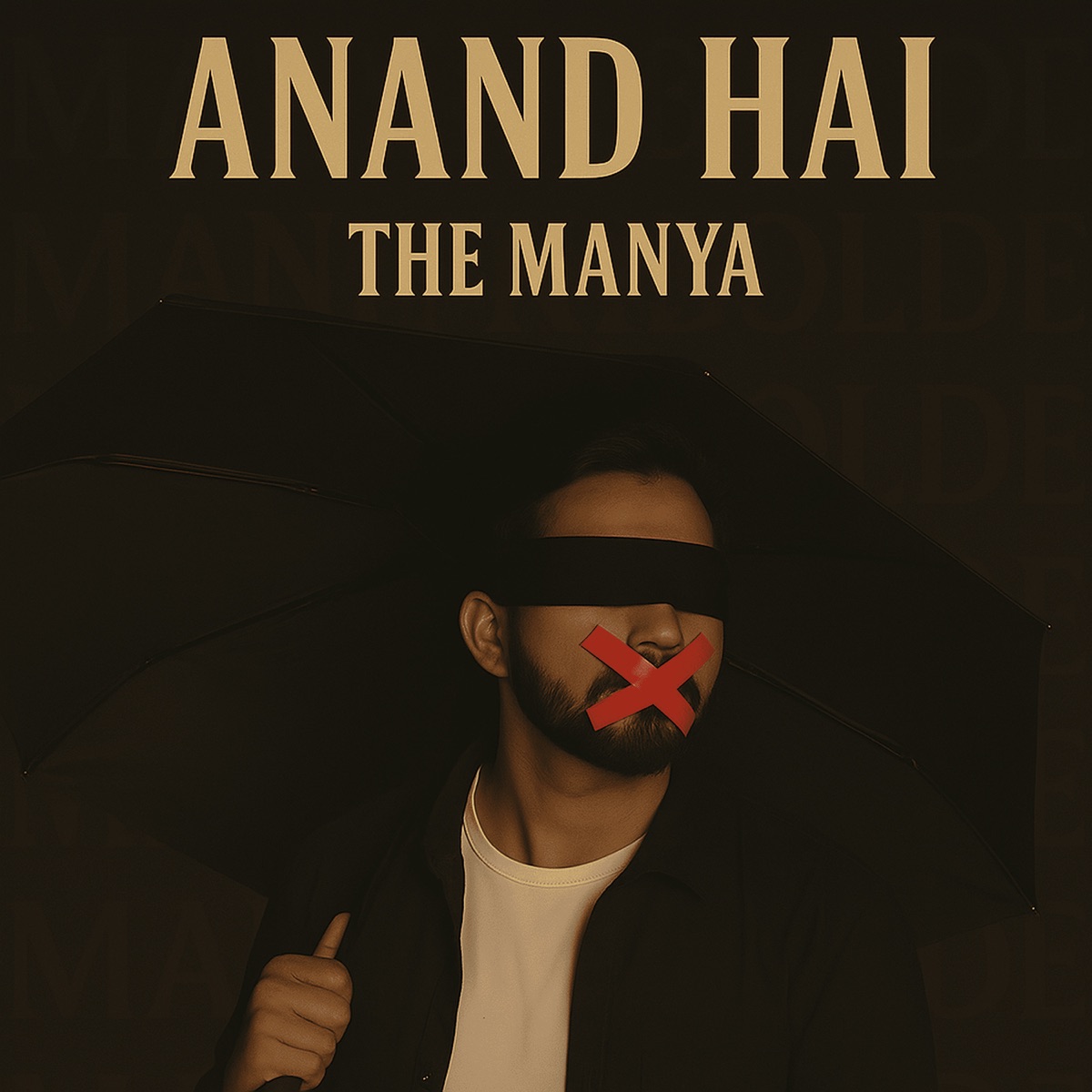 ANAND HAI - Single by Anni bashh & The manya album cover