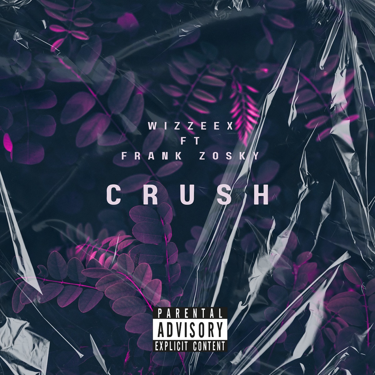 Crush (feat. Frank Zozky) - Single by Wizzeex album cover