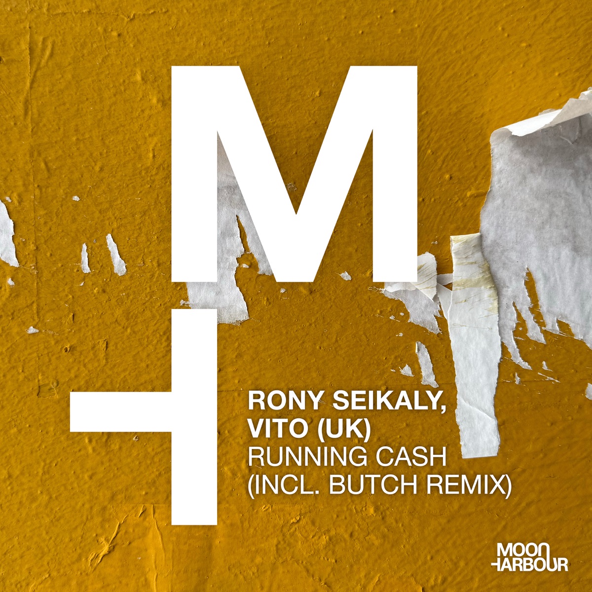 Running Cash - Single by Rony Seikaly & Vito (Uk) album cover