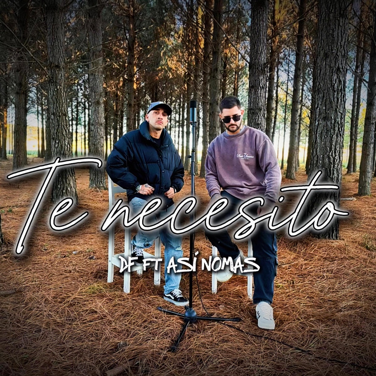 TE NECESITO (feat. Así Nomas) - Single by DF album cover