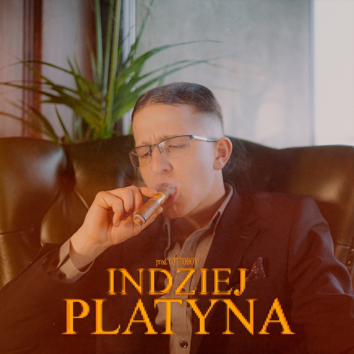 INDZIEJ - Single by Platyna & G3TTOBOY album cover