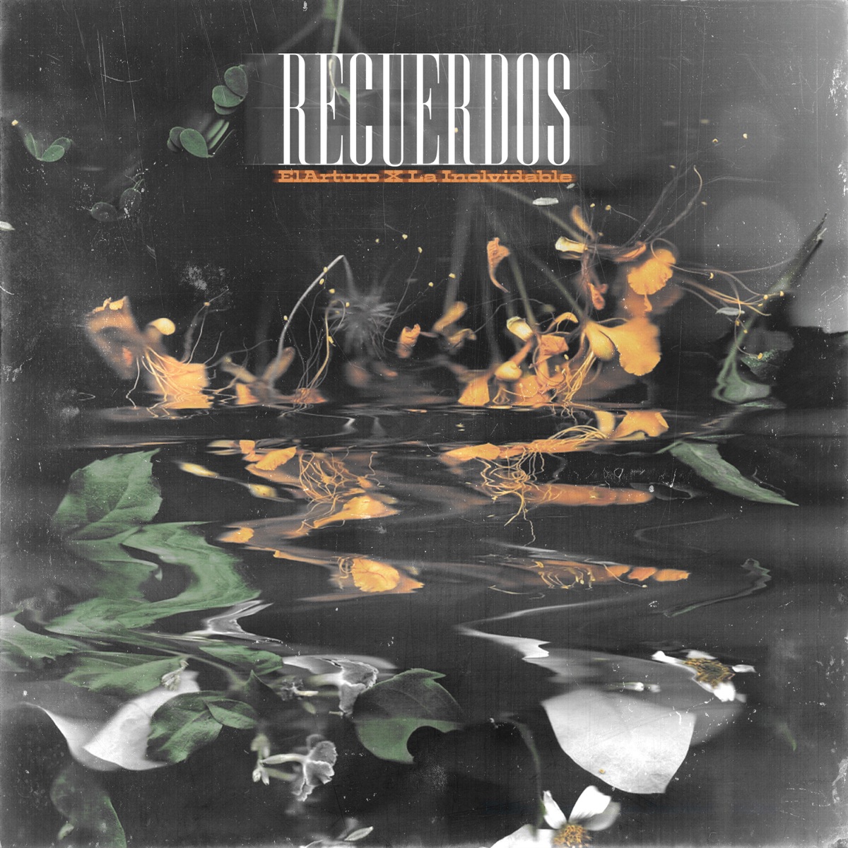 Recuerdos - Single by ElArturo & La Inolvidable Banda Agua De La Llave album cover