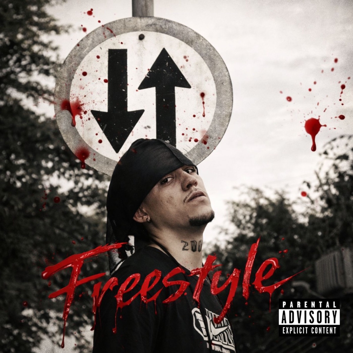 Freestyle (feat. Kosta) - Single by MC ANRRY album cover