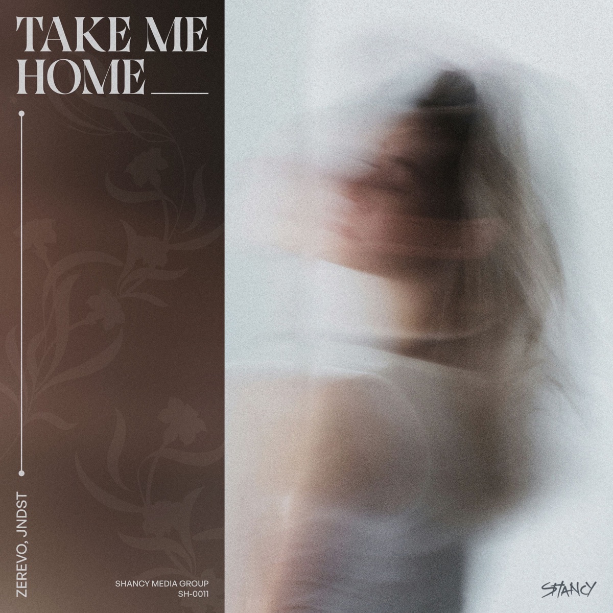 Take Me Home - Single by Zerevo & JNDST album cover