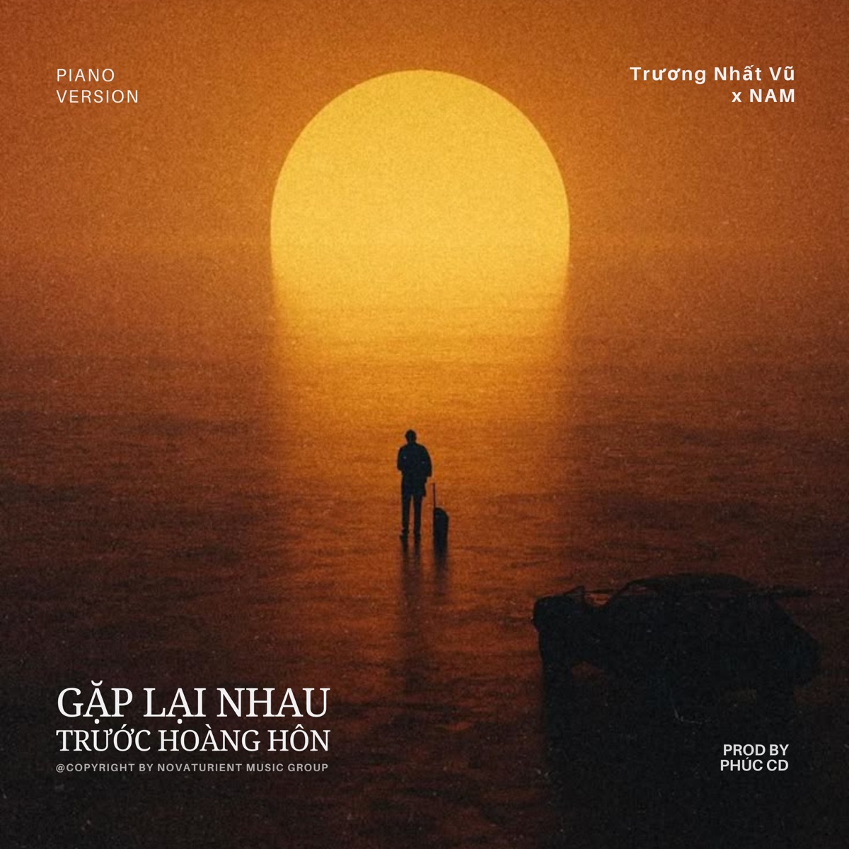 Gặp Lại Nhau Trước Hoàng Hôn (feat. Trương Nhất Vũ) - Single by NAM album cover