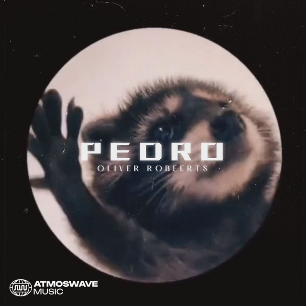 Pedro Pedro Pedro (Hardstyle) - Single by Oliver Roberts album cover