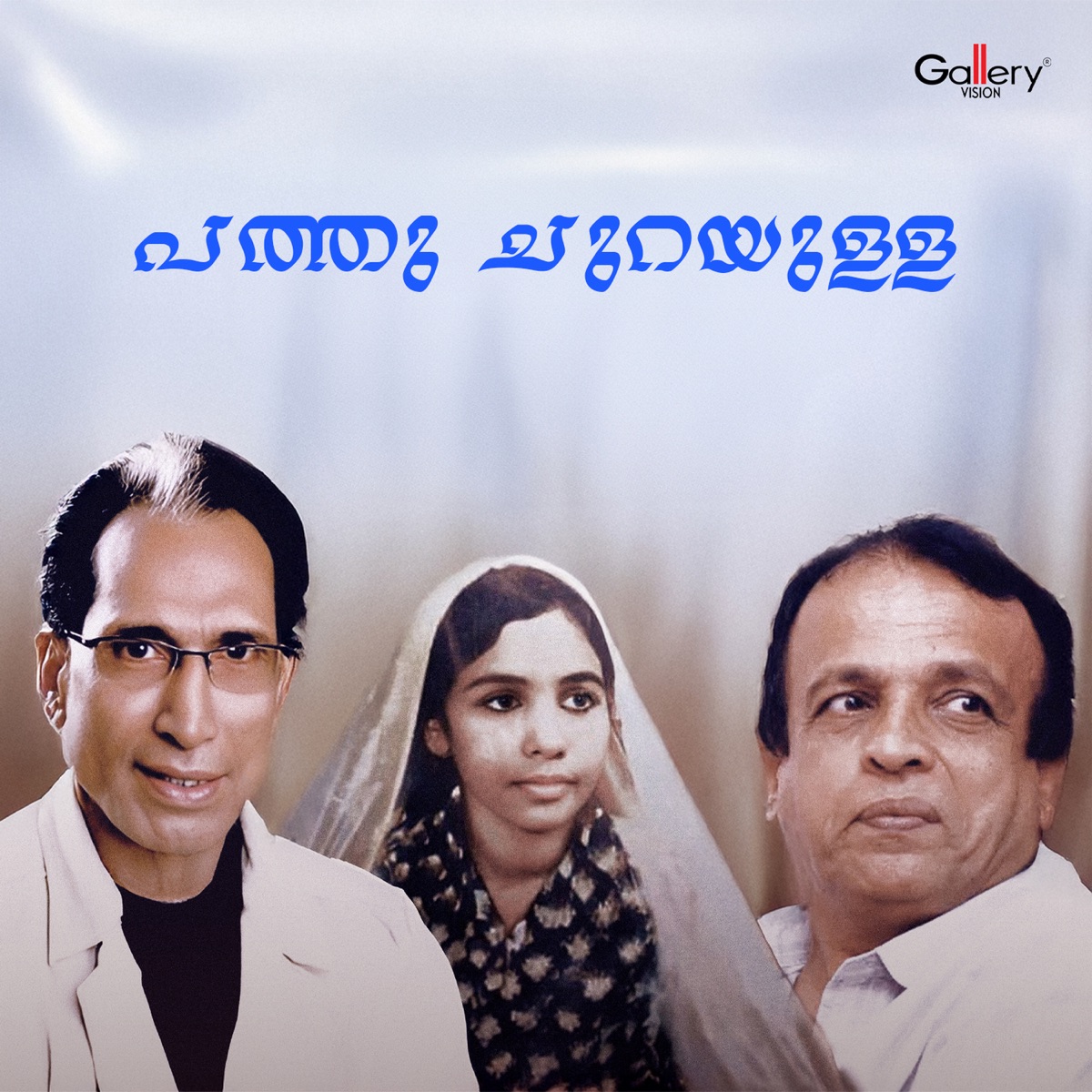 Pathu Churayulla - Single by Eranholi Moosa & L. R. Anjali album cover
