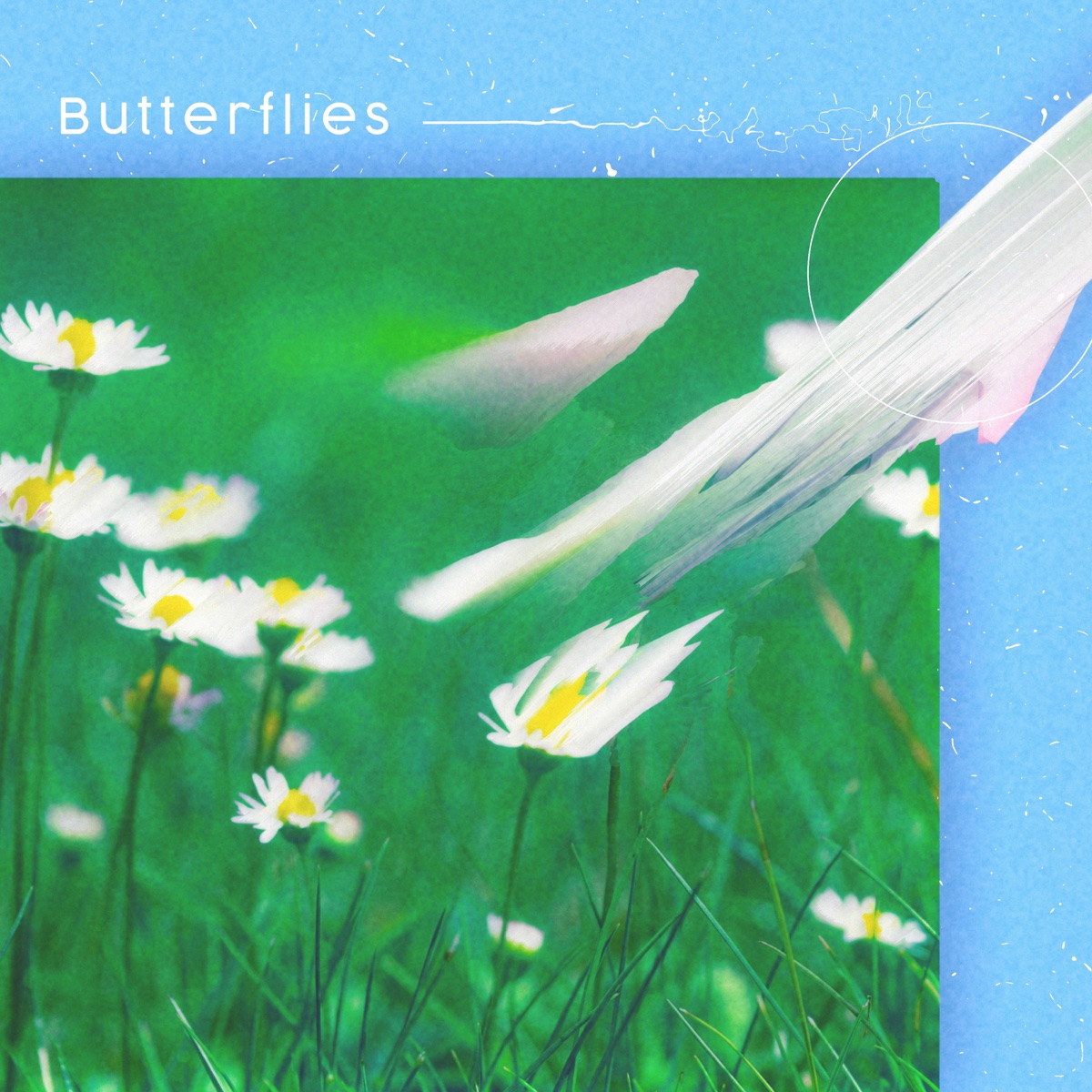 Butterflies (feat. Pala Chrome) - Single by A!RO & S N U G album cover