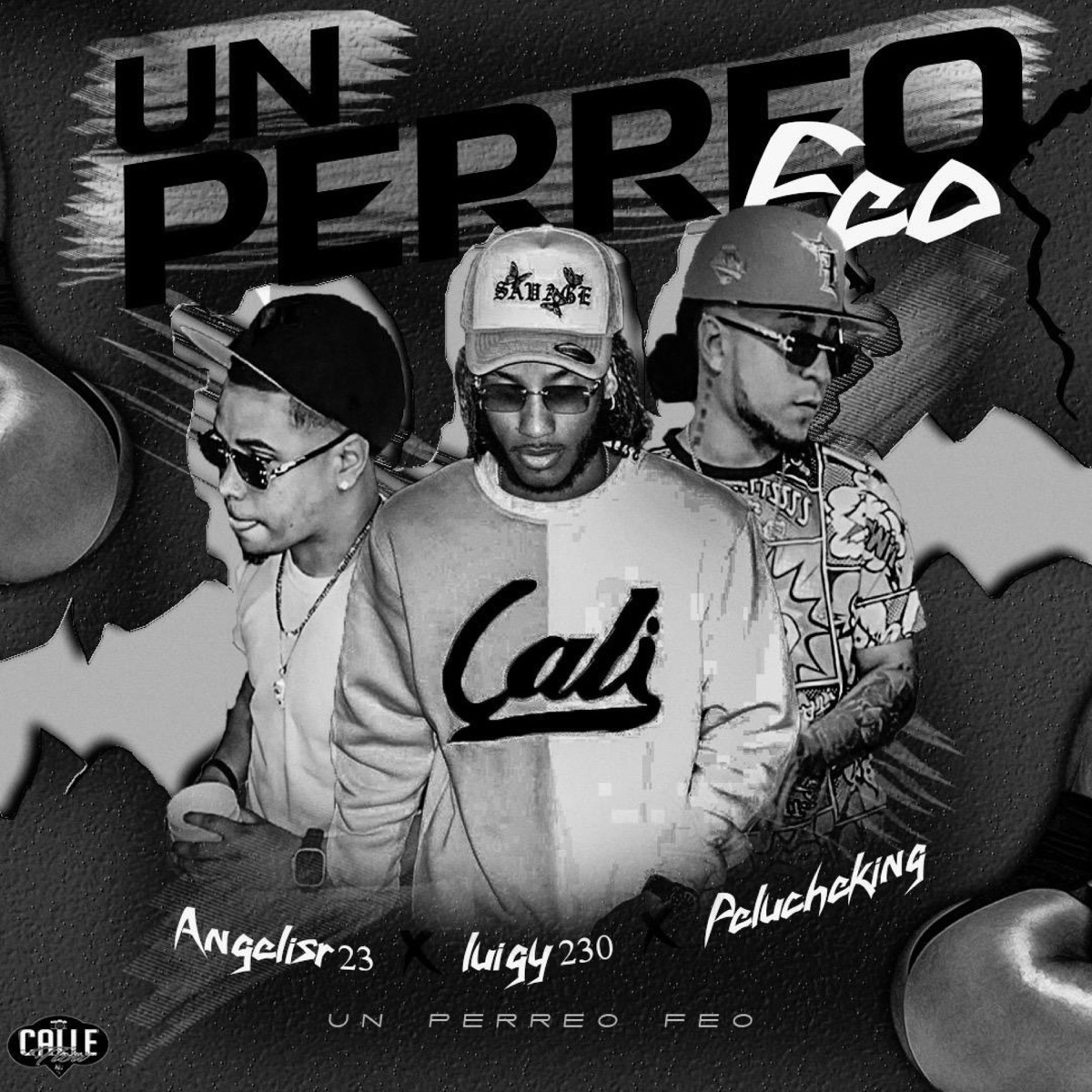PERREO FEO (feat. @luigy230 & Malcom Produce) - Single by Peluche07 & AngelisR23 album cover