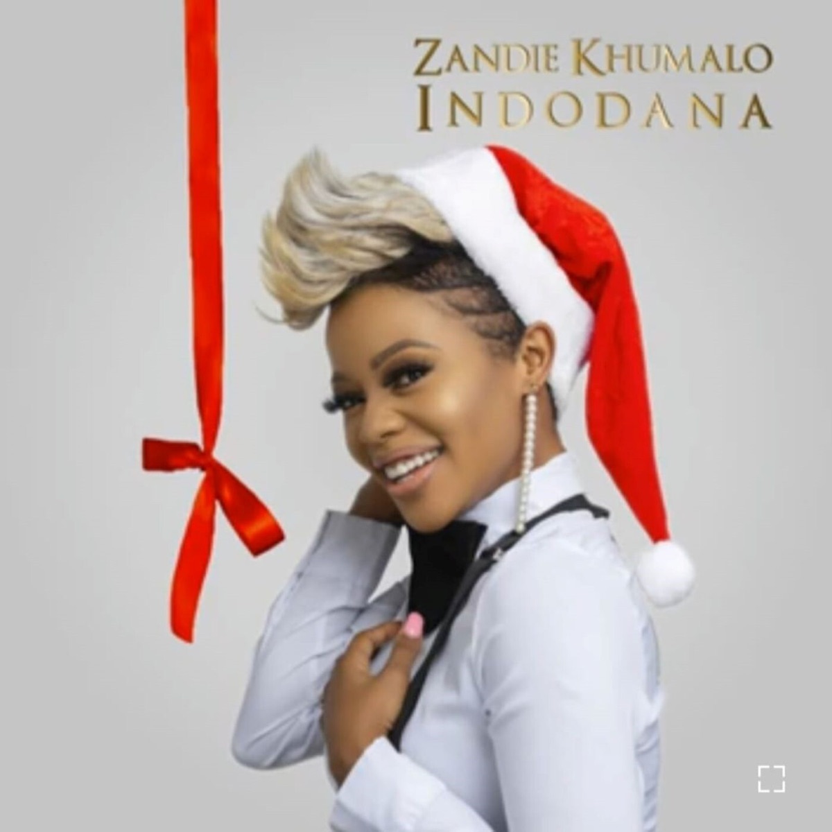 Indodana - Single by Zandie Khumalo album cover