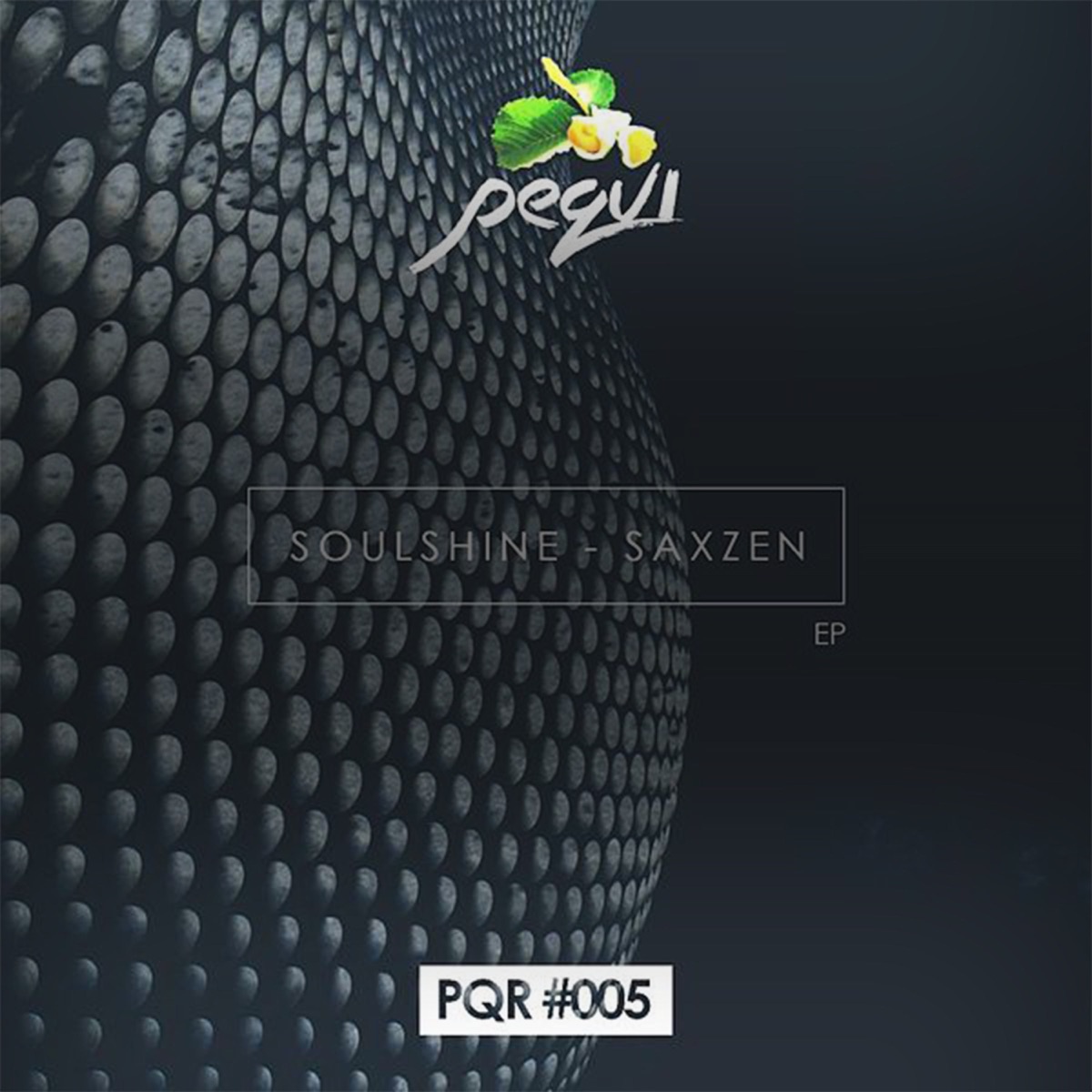 Saxzen by Soulshine album cover