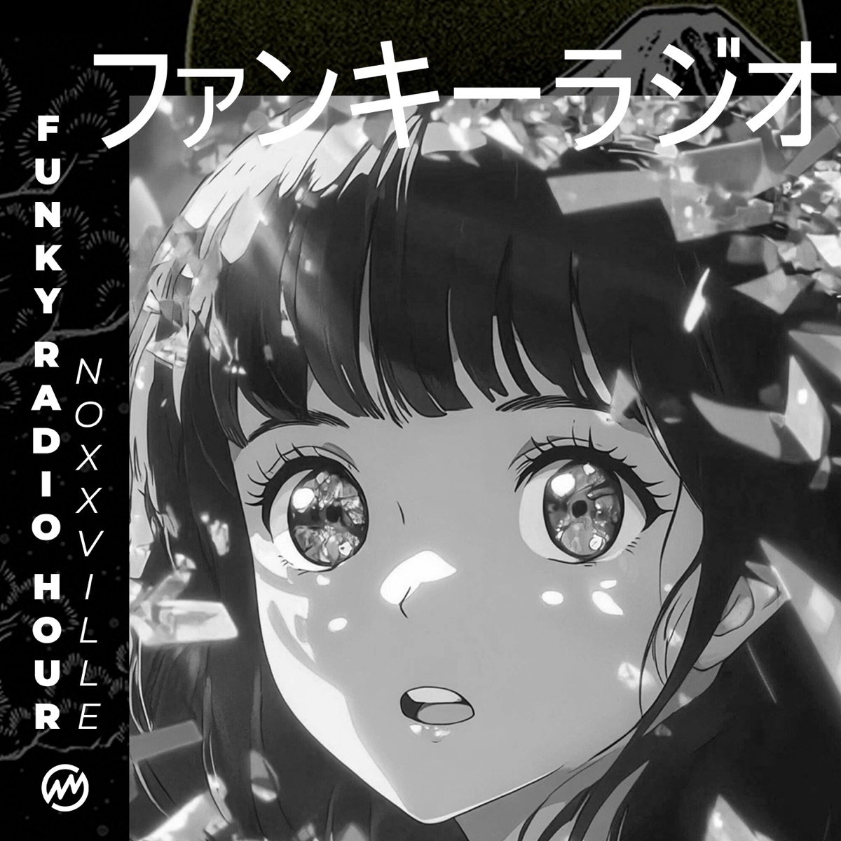 Funky Radio Hour - Single by Noxxville album cover