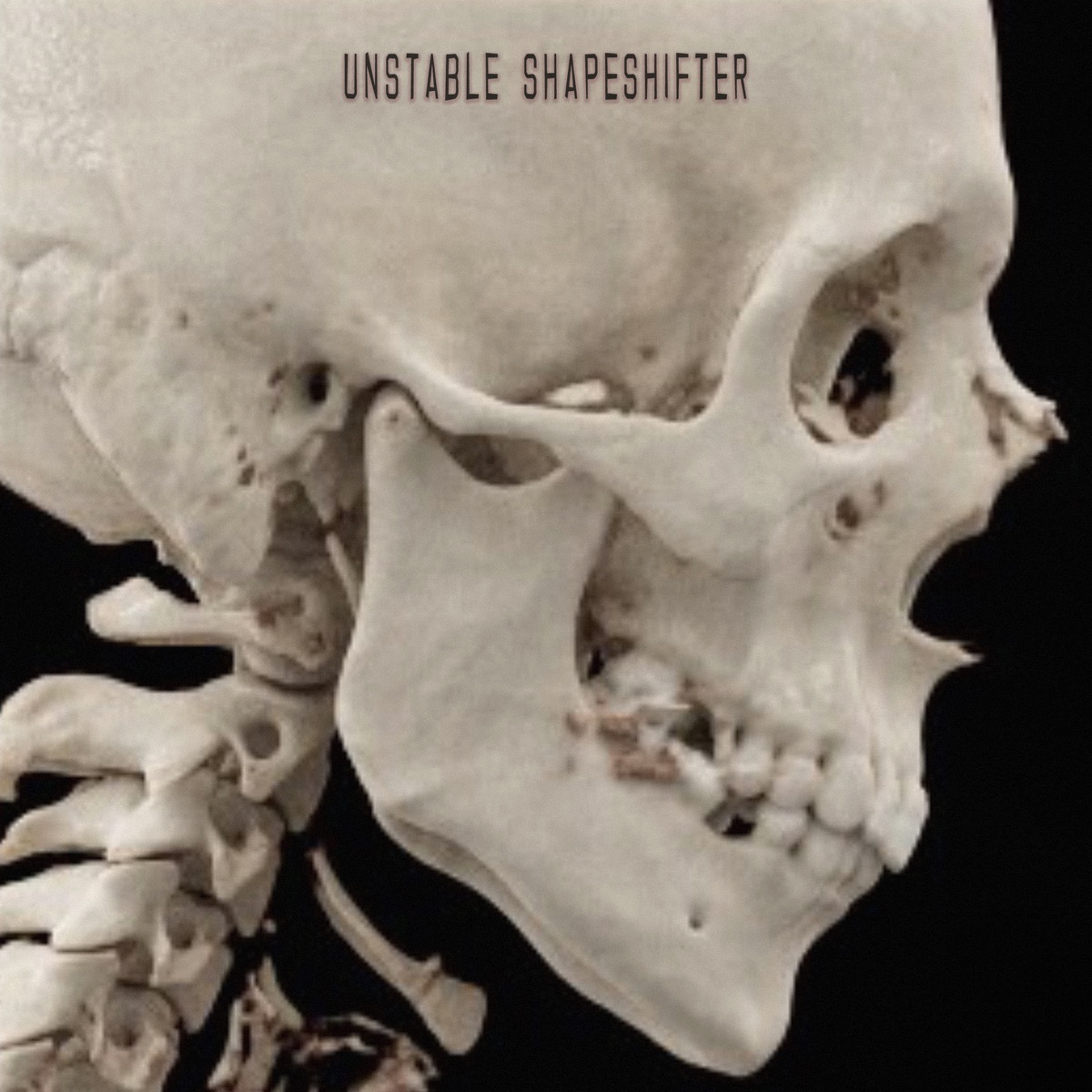 Unstable Shapeshifter - Single by RIP TXNY album cover