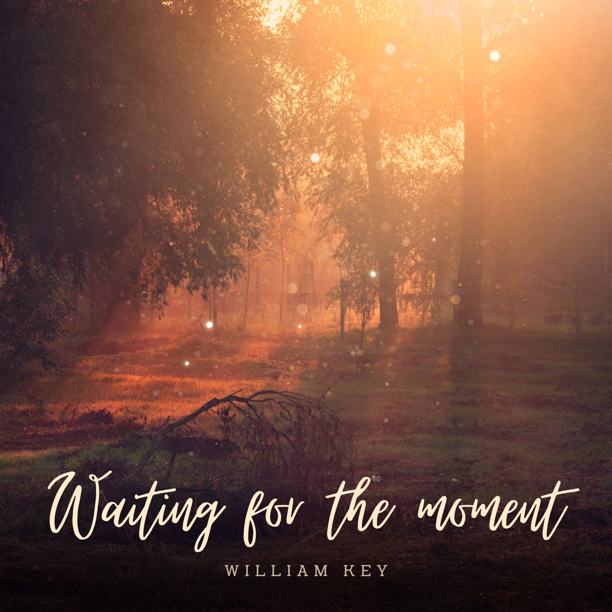 Waiting for the Moment - Single by William Key album cover