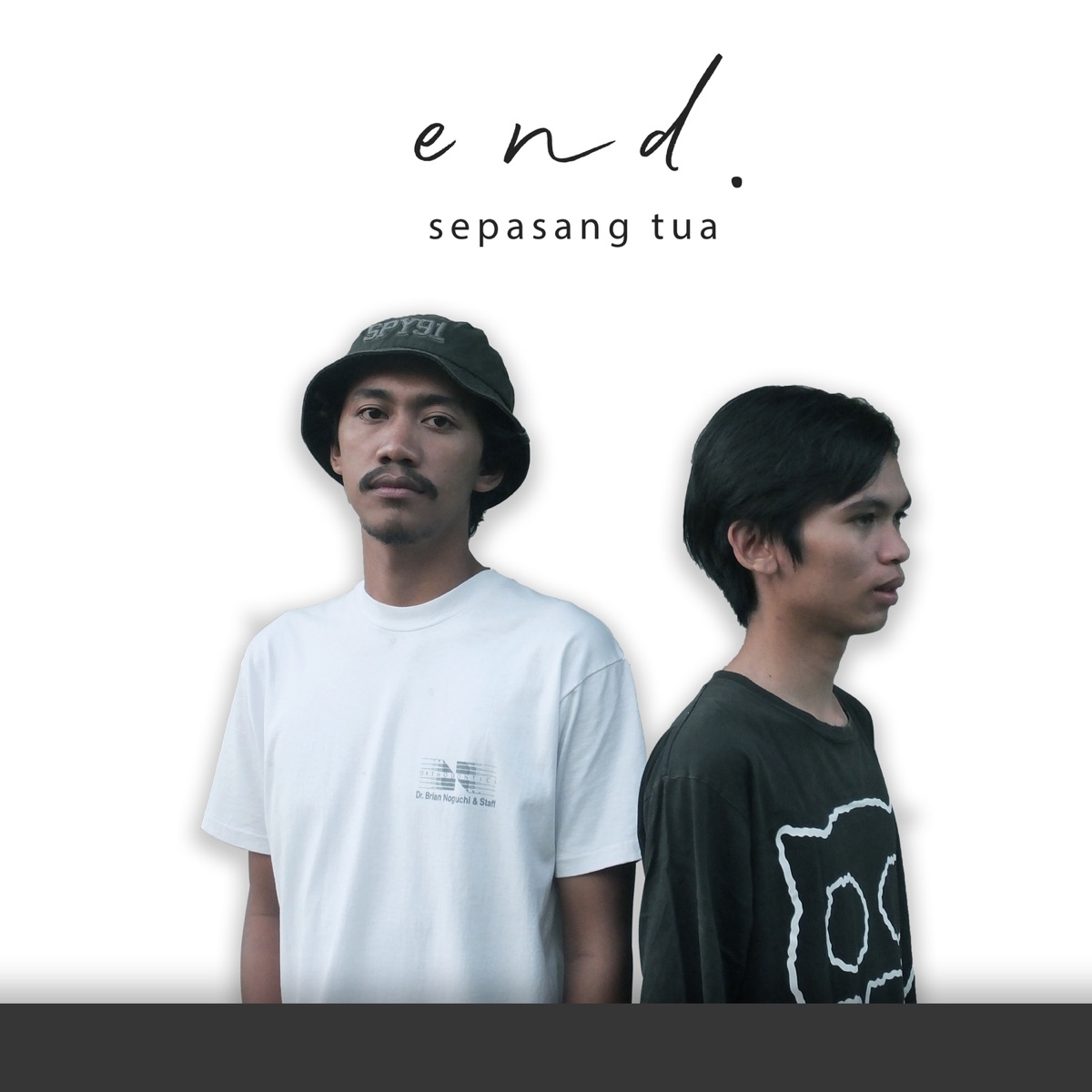 Sepasang Tua - Single by E.N.D album cover