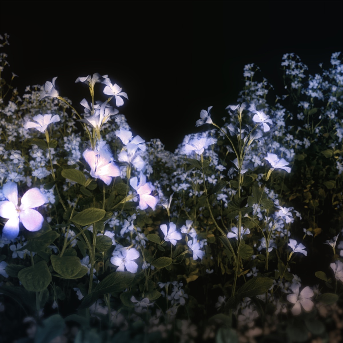 SLEEP by Fischersund, Sin Fang & Kjartan Holm album cover