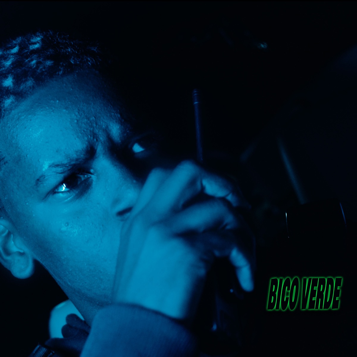 Bico Verde - Single by Kalub, Jawzinn17, Xavin, Lalas, VT BEAT & Rael 23 album cover
