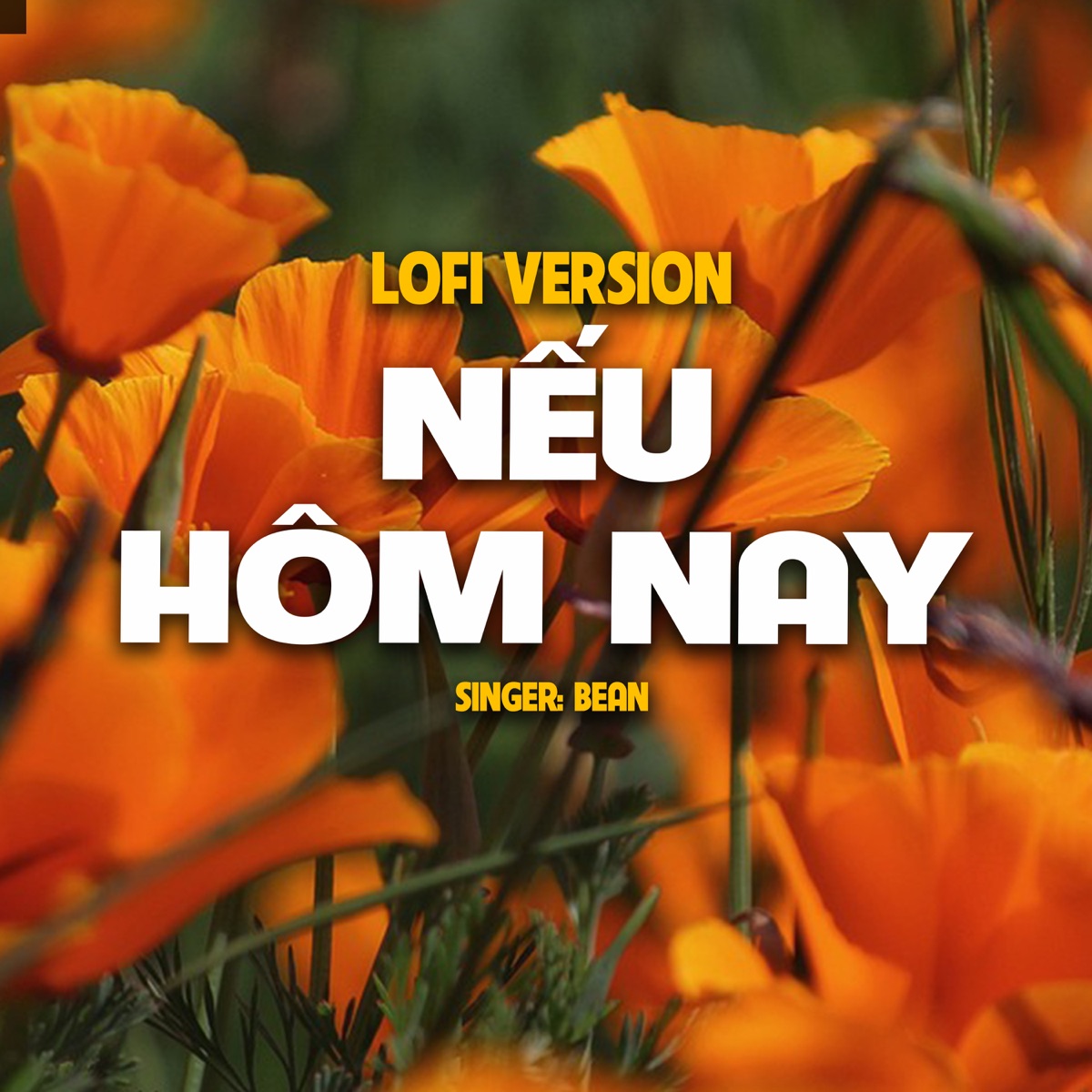 Nếu Hôm Nay (Lo-Fi) [feat. Bean] - Single by Chips Lofi album cover