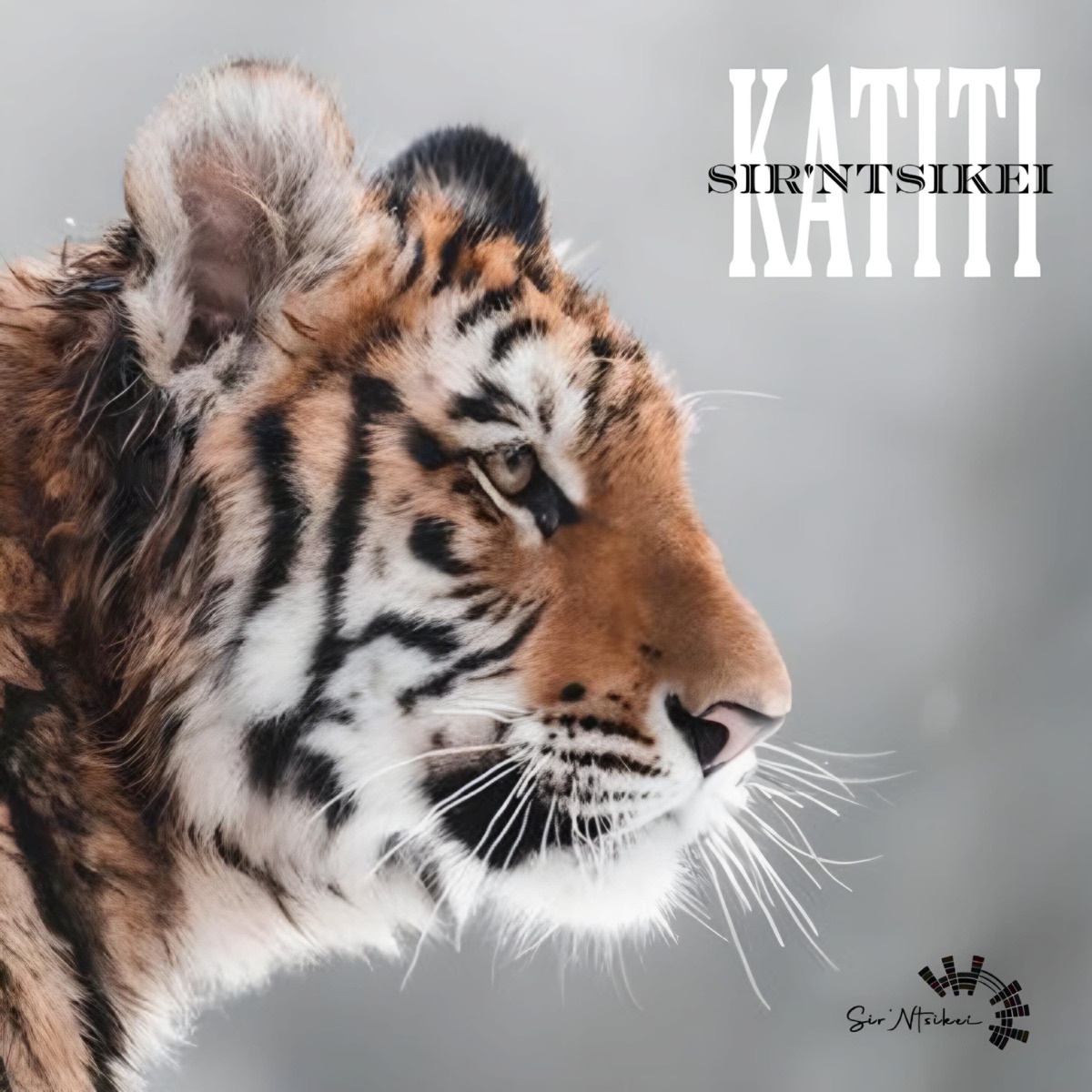 Katiti - Single by Sir'Ntsikei album cover