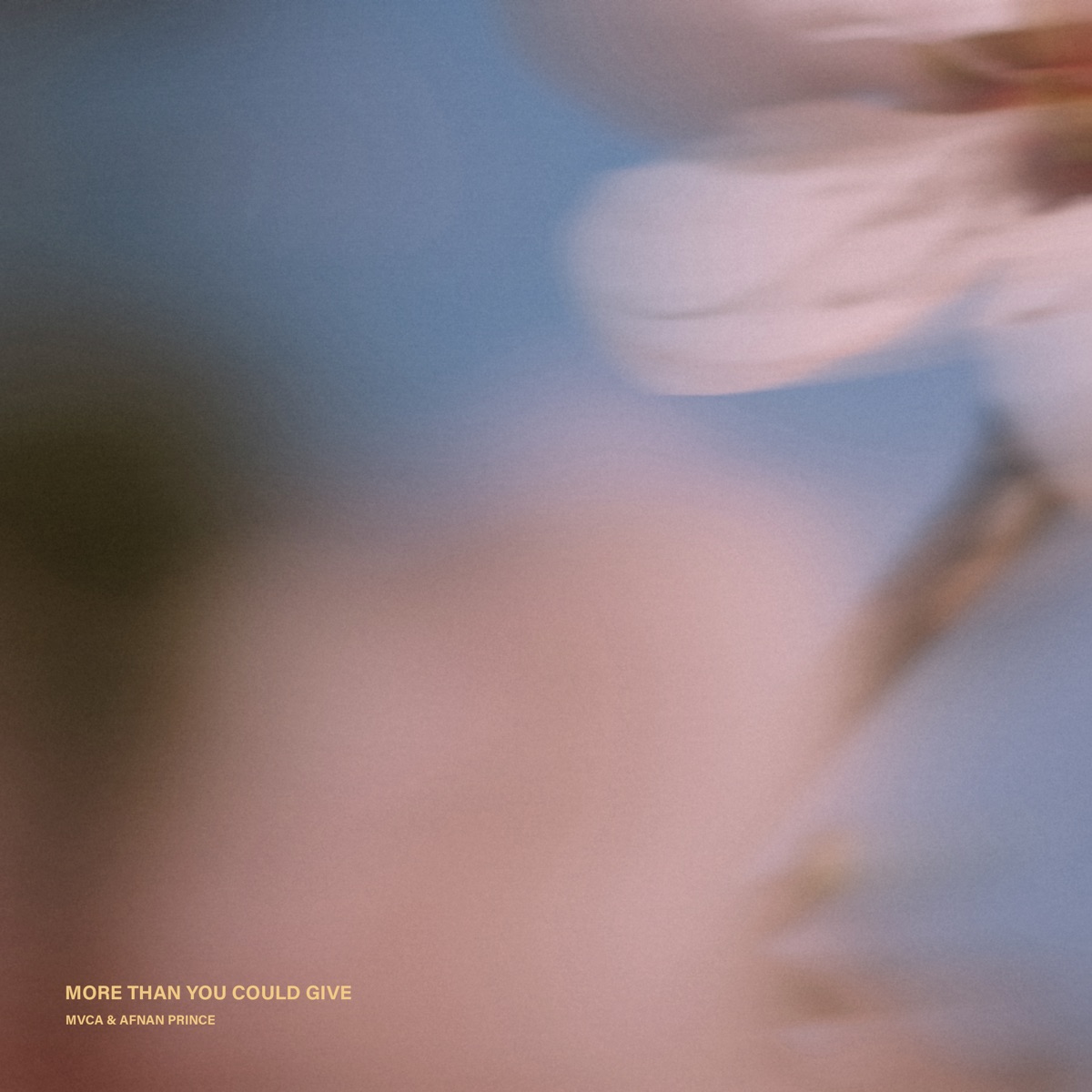 More Than You Could Give - Single by MVCA & Afnan Prince album cover
