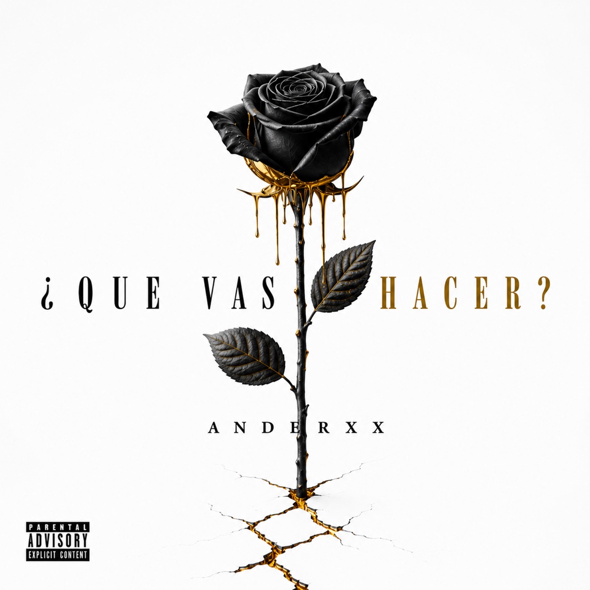 ¿ QUE VAS HACER ? - Single by Anderxx album cover