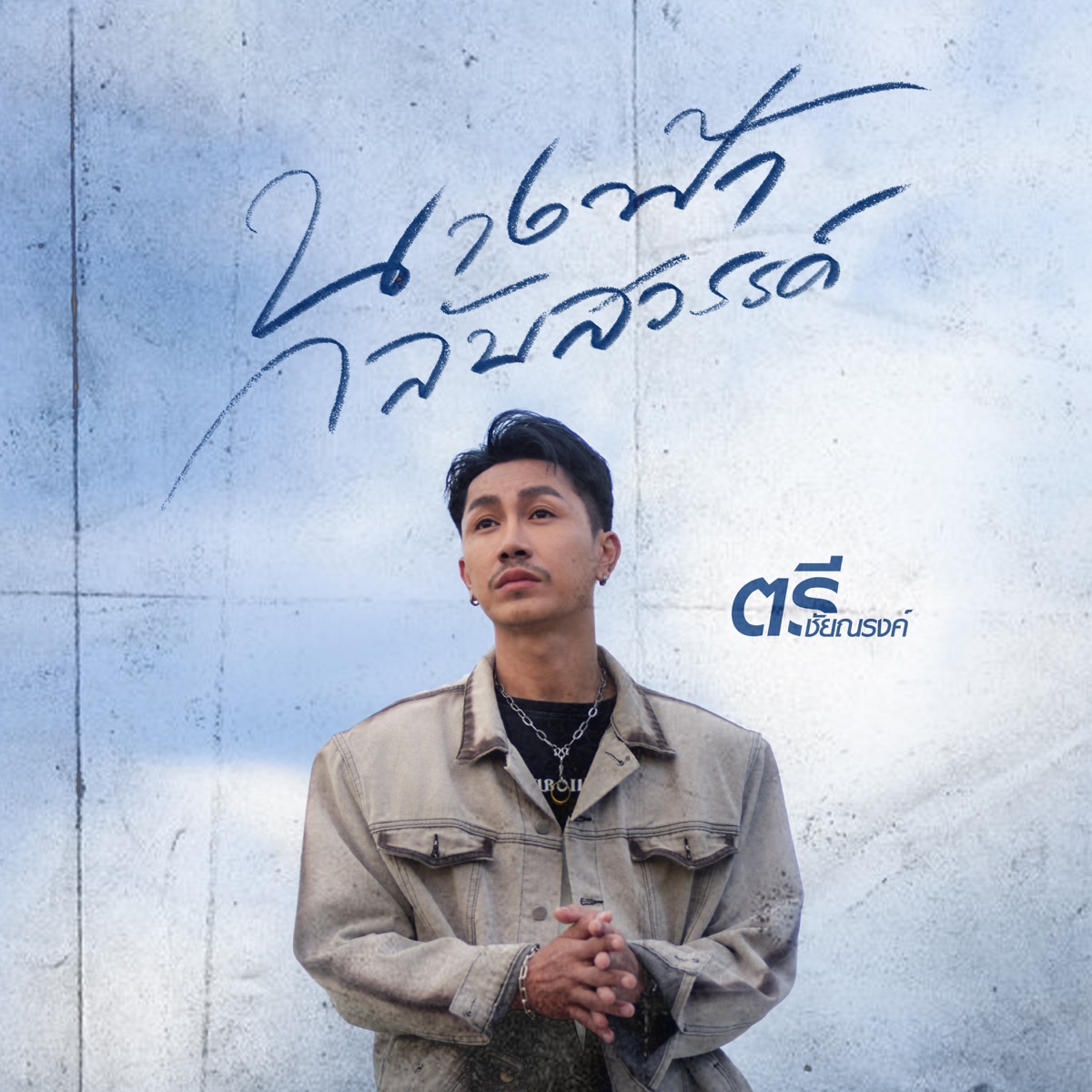 นางฟ้ากลับสวรรค์ - Single by Tree Chainarong album cover