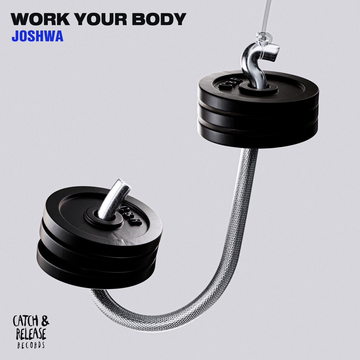 Work Your Body - Single by Joshwa album cover