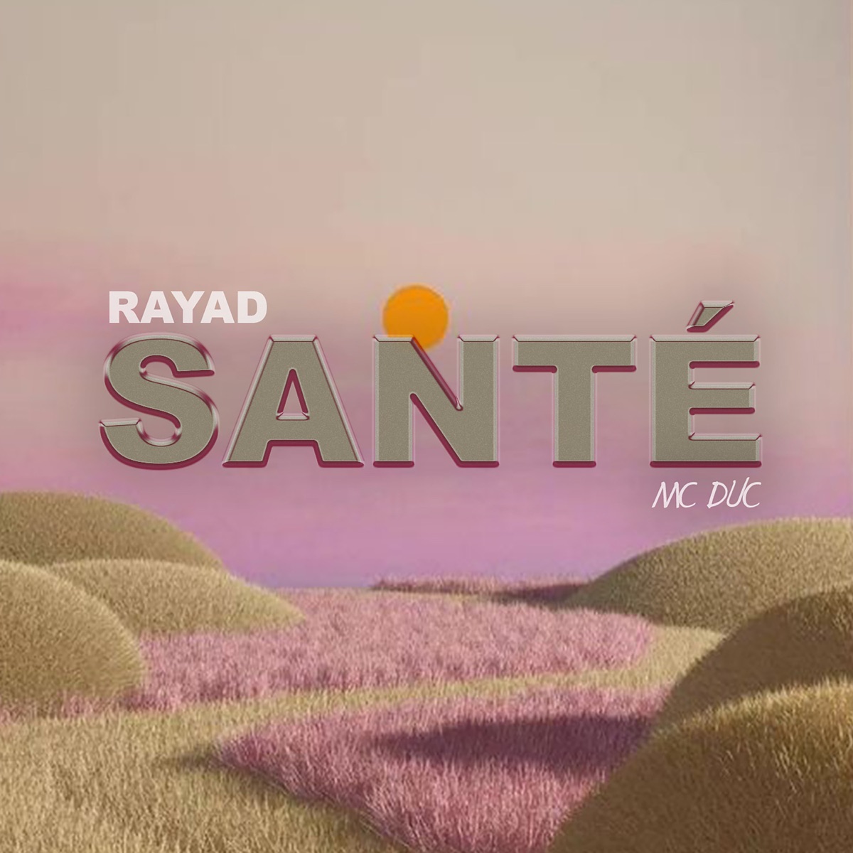 Santé - Single by Rayad & Mc Duc album cover