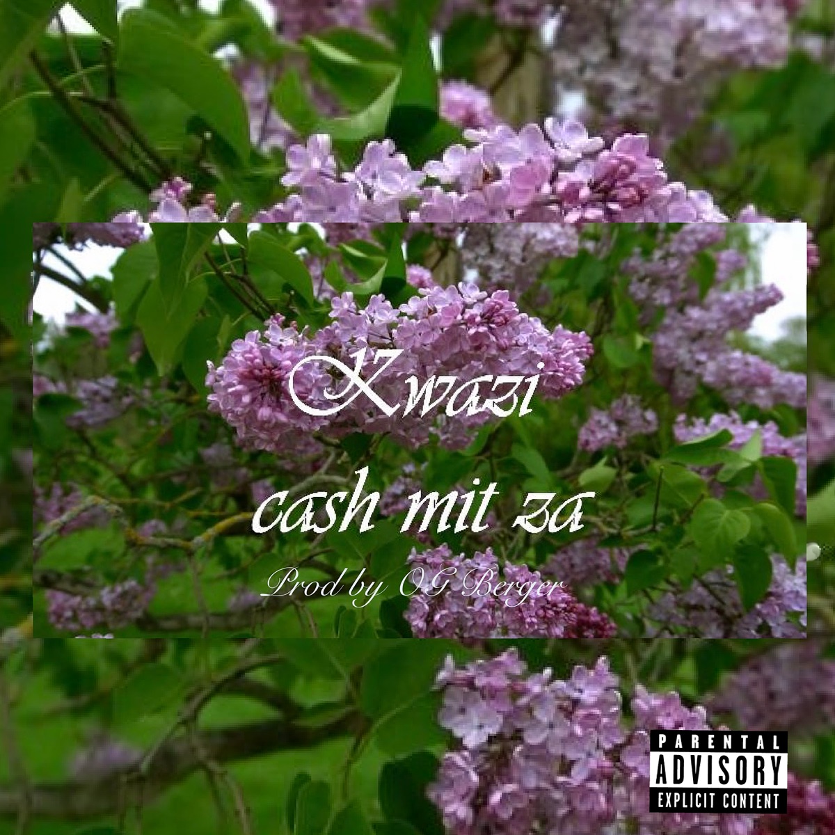 Cash Mit Za - Single by kwazi & Prod by OG Berger album cover