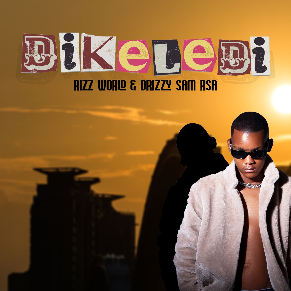 Dikeledi - Single by Rizz World & Drizzy Sam (RSA) album cover