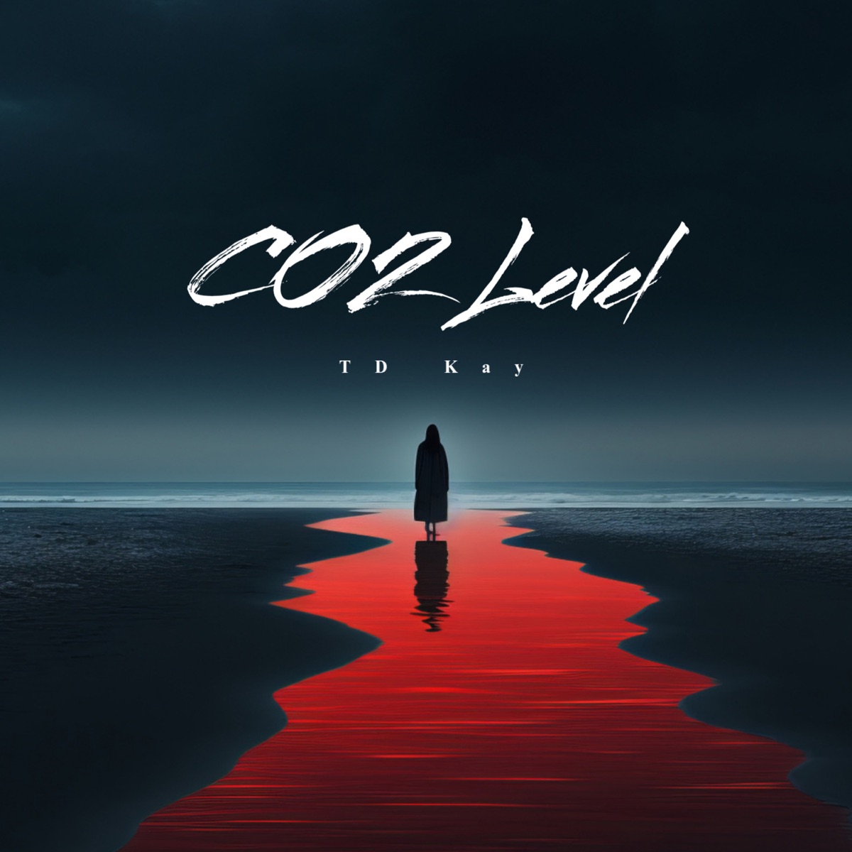 C02 Level - Single by TD Kay album cover