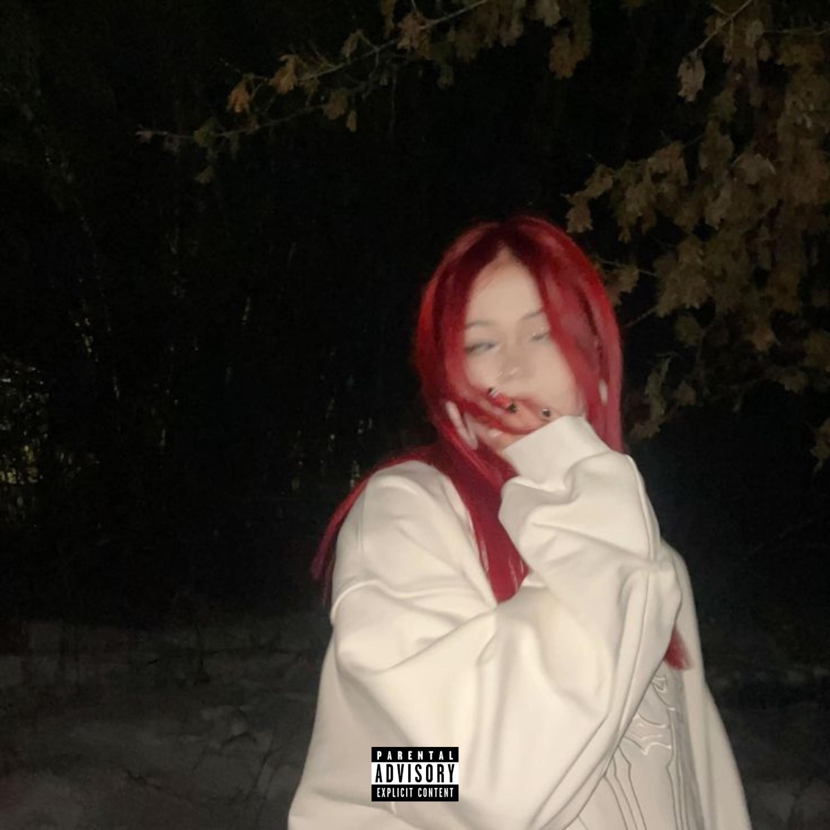 TENTANDOME - Single by Kidd Mvti album cover