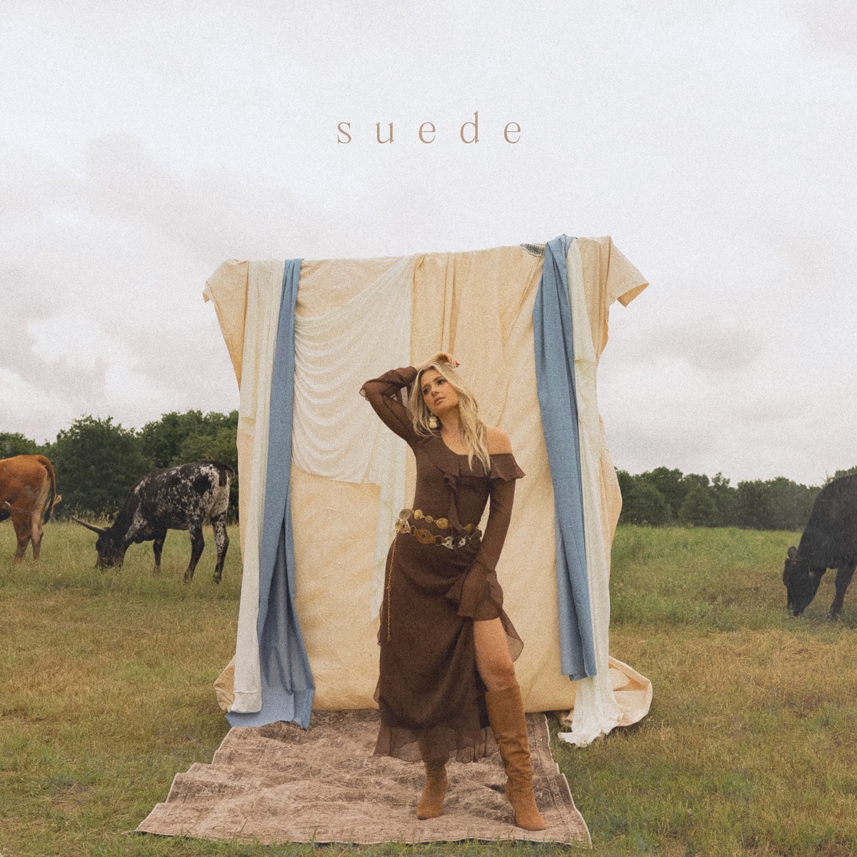 Suede by Erin Kinsey album cover