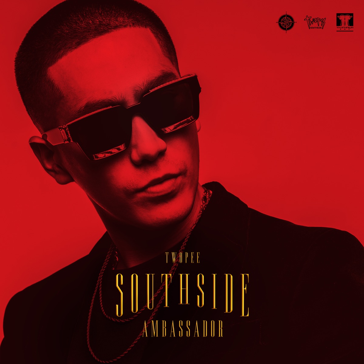 Southside Ambassador by Twopee Southside album cover