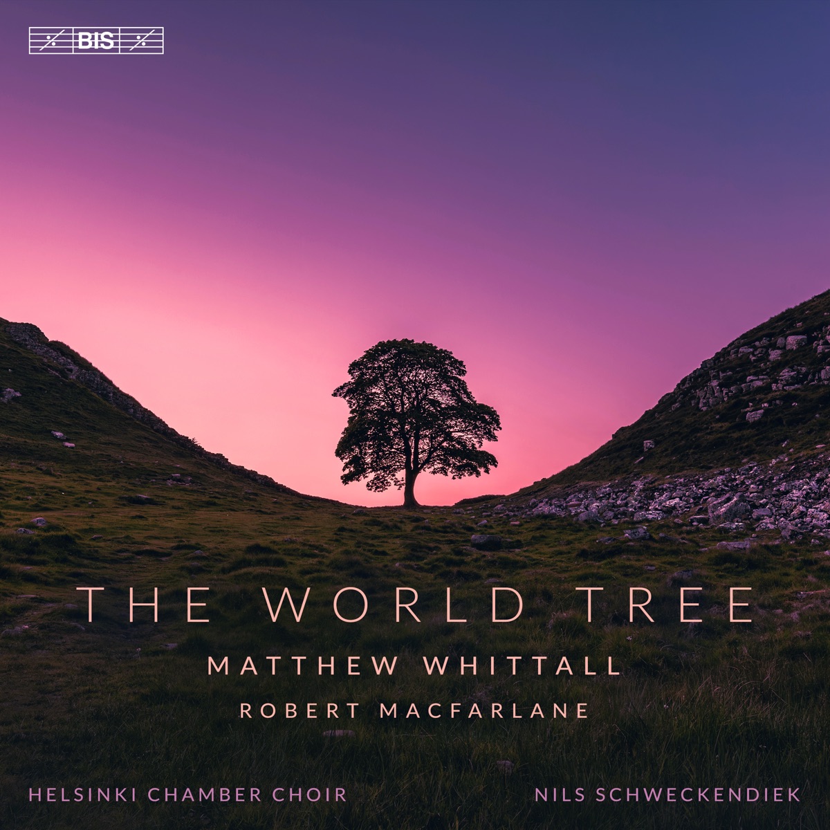 The World Tree by Helsinki Chamber Choir & Nils Schweckendiek album cover