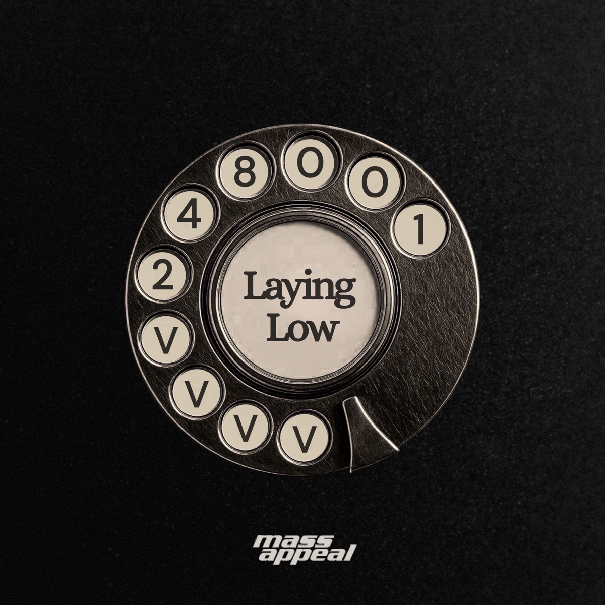 Laying Low - Single by vichaar album cover