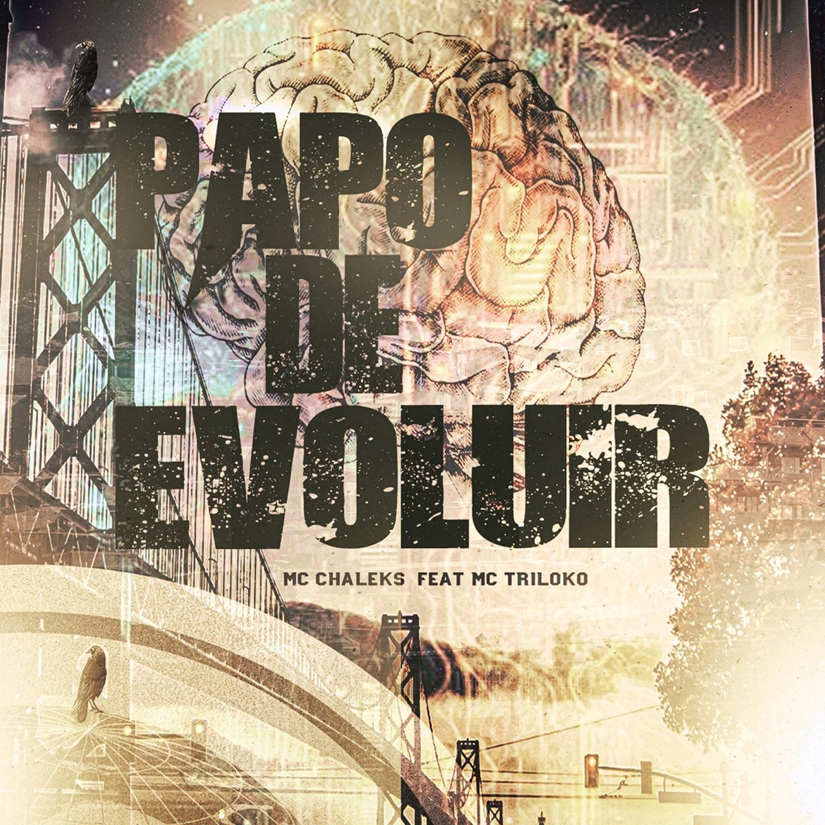 Papo de Evoluir (feat. MC TRILOKO) - Single by Mc chaleks album cover
