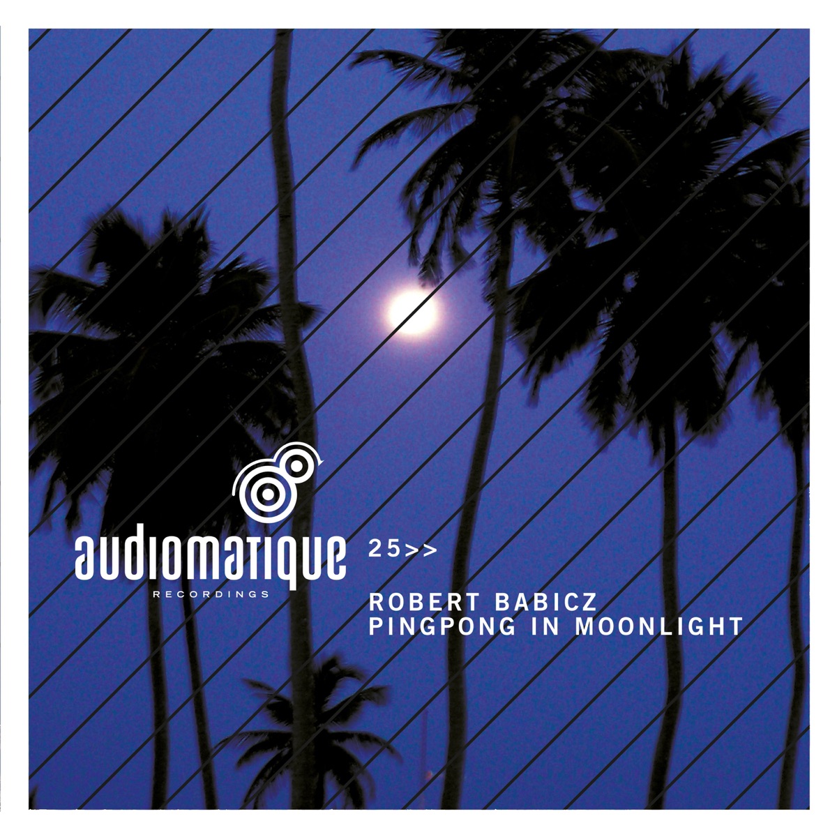 PingPong In Moonlight - EP by Robert Babicz album cover