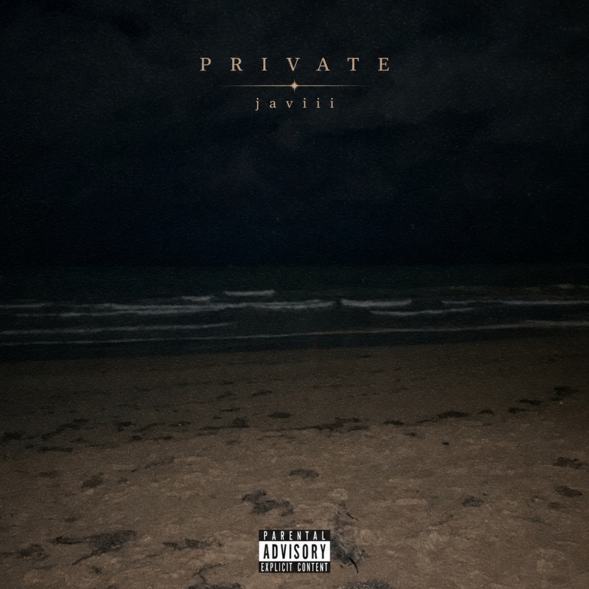 Private - Single by javiii album cover