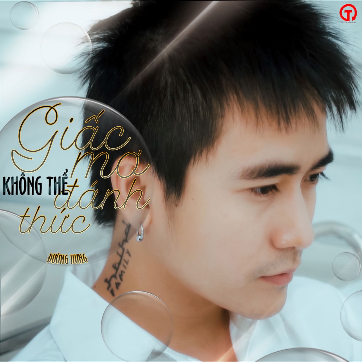 Giấc Mơ Không Thể Đánh Thức - Single by Dương Hưng album cover