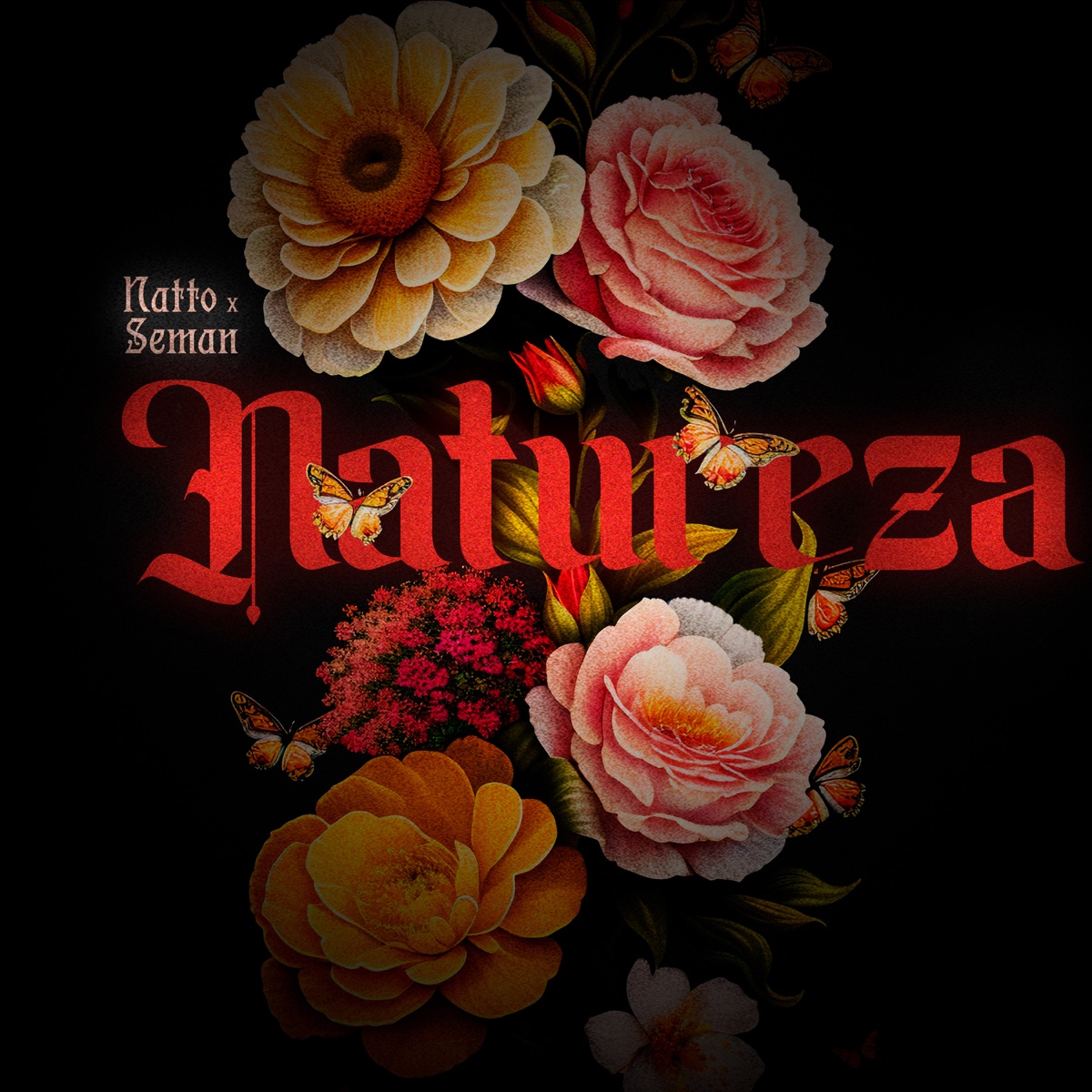 NATUREZA - Single by young natto & Seman album cover