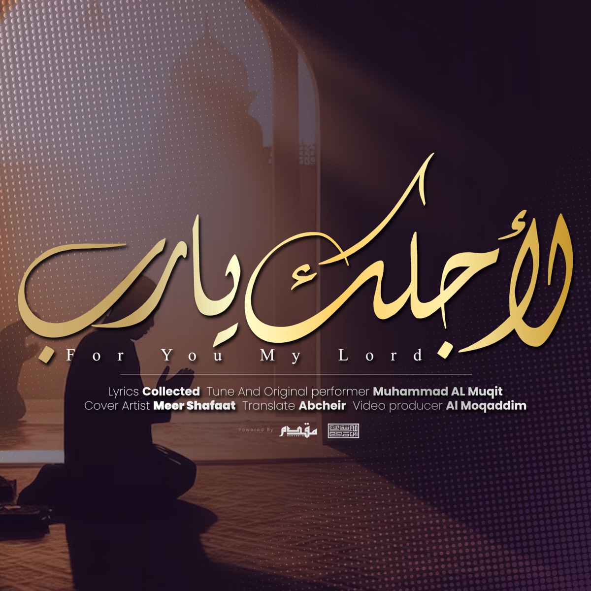 For You My Lord - Single by Meer Shafaat album cover