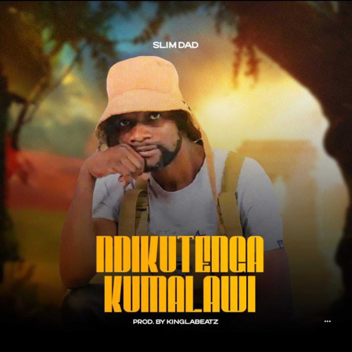 Wagwa Nawo - Single by Slim Dad album cover