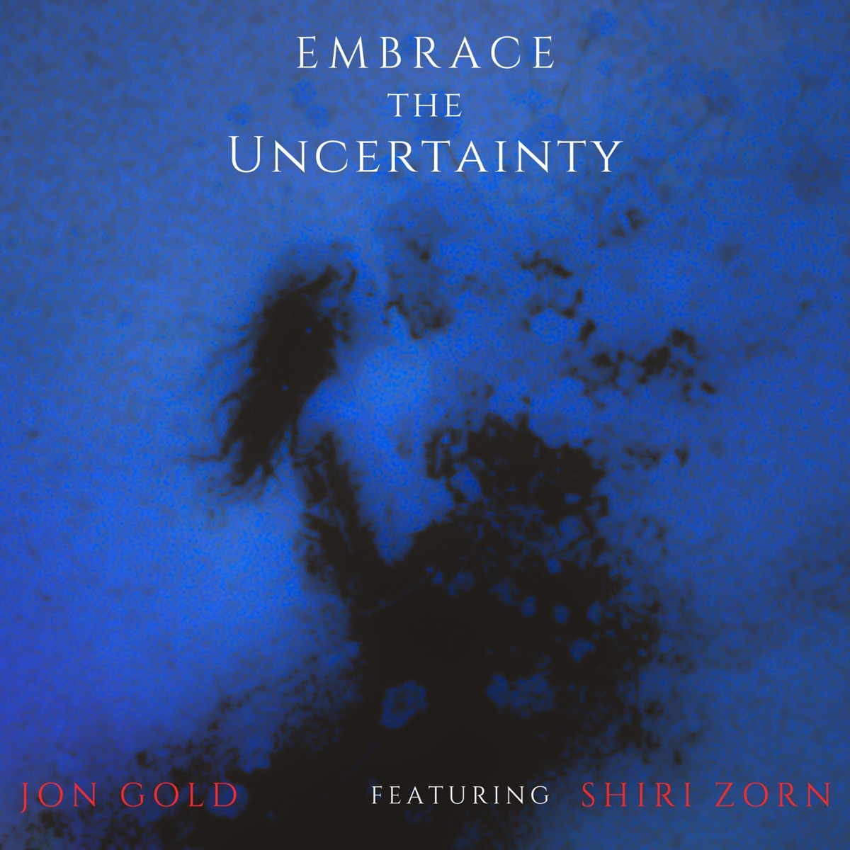 Embrace The Uncertainty (feat. Shiri Zorn, Jackson Lourenço & Will Allen, Jr) - Single by Jon Gold album cover