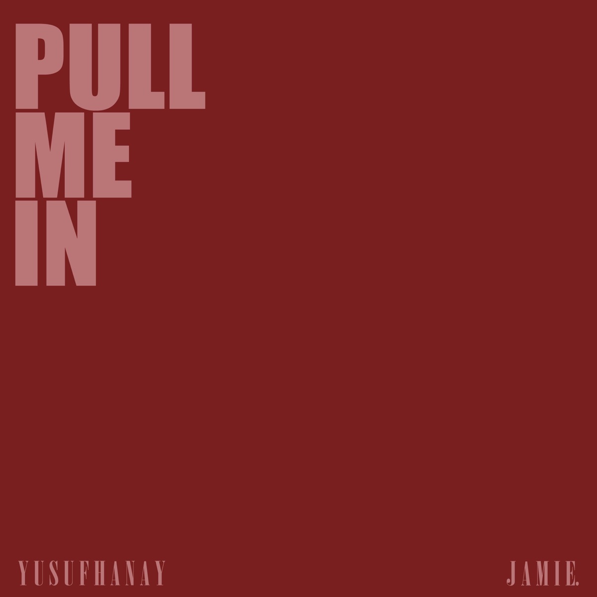 Pull Me In - Single by Yusuf Hanay & jamie. album cover