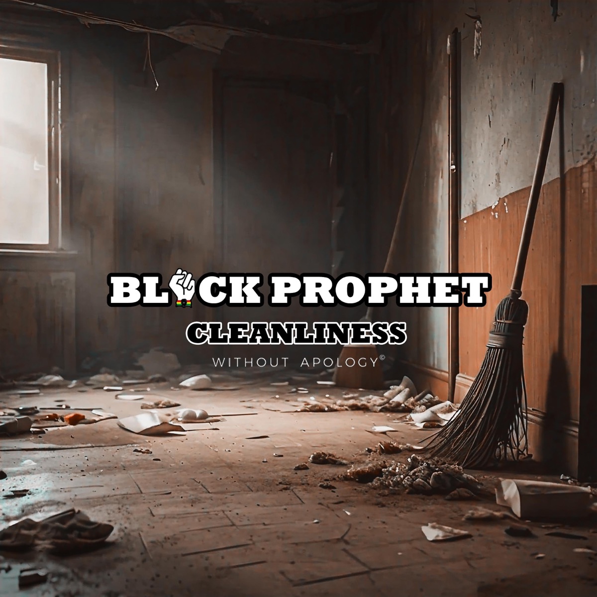 Cleanliness - Single by Black Prophet album cover